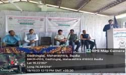 Revised Syllabus Workshop 2023