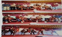 Sports Competition: Best Physique